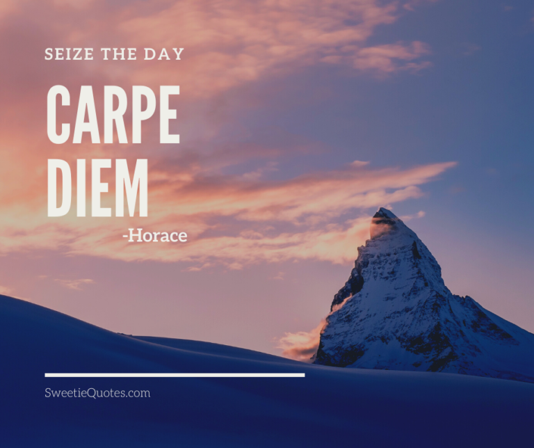 Carpe Diem (Seize The Day)! 🦸‍♀️🦸‍♂️⛷🏋️‍♀️🤸‍♀️⛹️‍♀️🤺🏌️‍♀️🏇🚣‍♀️🏄‍♂️