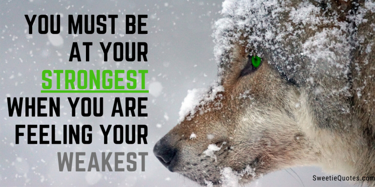 You must be at your strongest when you are feeling your weakest💪