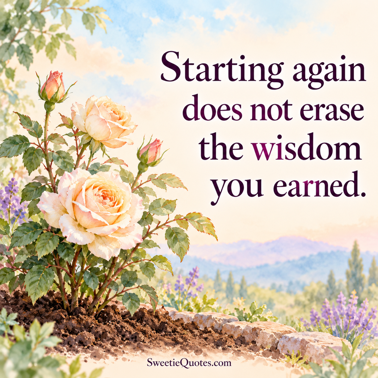 Starting again does not erase the wisdom you earned.